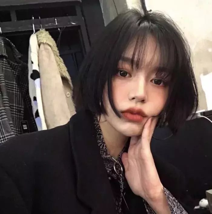 哈莉·奎茵第四季